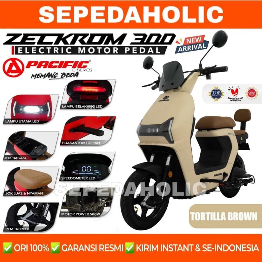 Pacific Zeckrom 300