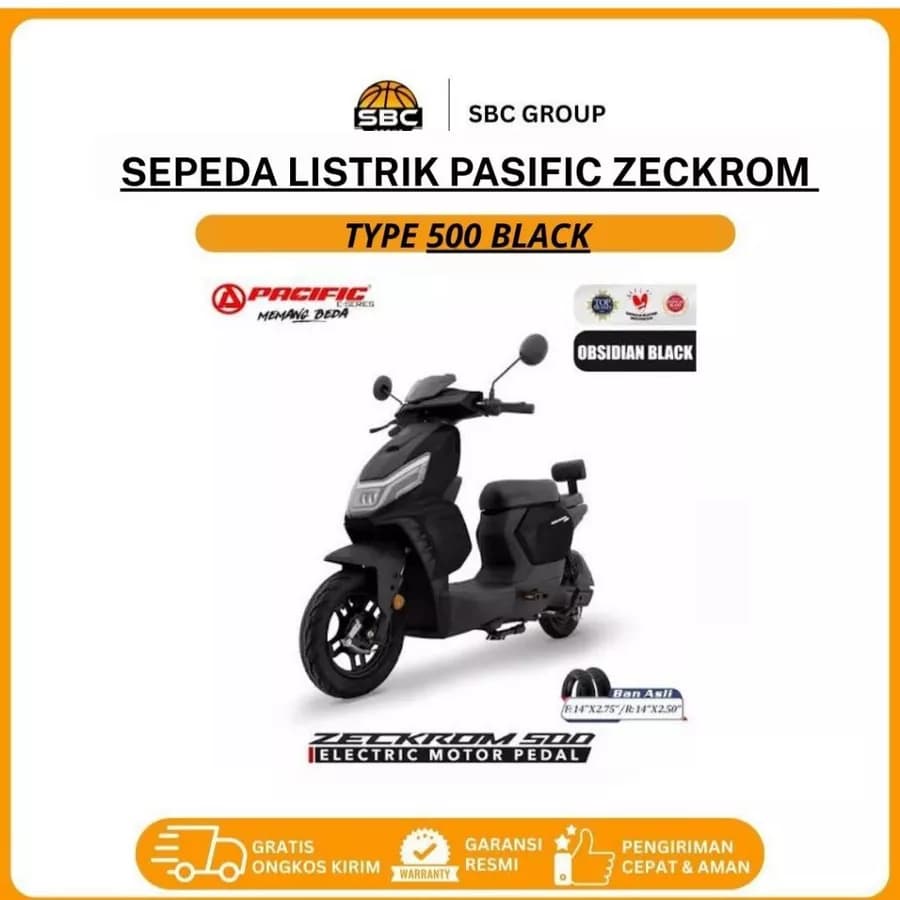 Pacific Zeckrom 500
