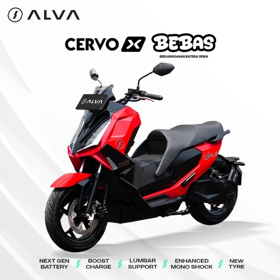 ALVA CERVO X