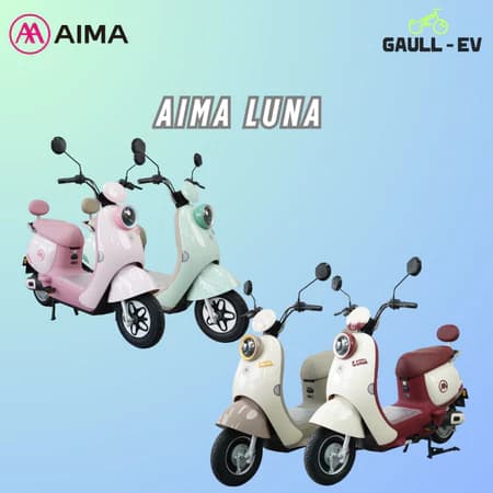 AIMA Luna 48V20Ah